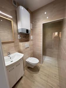 a bathroom with a toilet and a sink and a shower at Noclegi - Pokoje - STEMPO in Skarżysko-Kamienna +19 photos