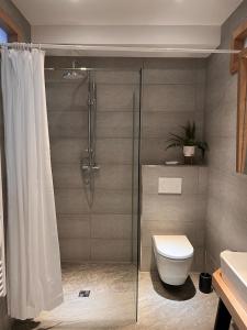a bathroom with a shower with a toilet and a sink at Hotel La Fleur in Überlingen