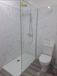 a white bathroom with a shower and a toilet at Sea, Sun and Wild Nature in Costa de Santo André +28 photos