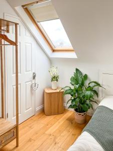 un lucernario in una camera da letto con letto e piante di Happy Land a Londra