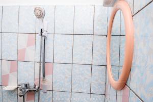 a bathroom with a shower with a blow dryer at Odza, modern apartment, 3 bedrooms, private parking in Yaoundé +11 photos