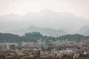 山景或在酒店看到的山景