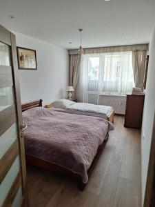 1 dormitorio con 2 camas y ventana en Diana Apartments, en Bardejov
