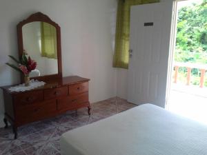 a bedroom with a dresser and a mirror at Polish Princess Guest House in Port Antonio