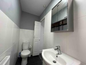 a white bathroom with a toilet and a sink at Modern 2 BR Flat in Town Centre in Aberystwyth