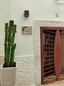 a cactus in a pot next to a door at La casetta di Ottavio in Castellana Grotte