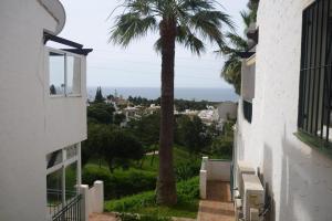 eine Palme und Meerblick von einem Haus in der Unterkunft Golf views 2 bed El Mirador De Calahonda in Mijas Costa