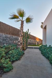 Fotografia z galérie ubytovania LUXURY Villa in Abama v destinácii Guía de Isora