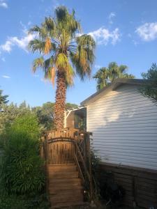 a palm tree in front of a house with a fence at Mobile Home, Camping Le Dattier, Fréjus, South of France in Fréjus