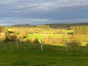 een hek in een veld met een groen veld bij Pipowagen Monceau-en-Ardenne in Bièvre