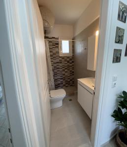 łazienka z toaletą i umywalką w obiekcie Porfyra Apartment Portoheli w mieście Porto Heli