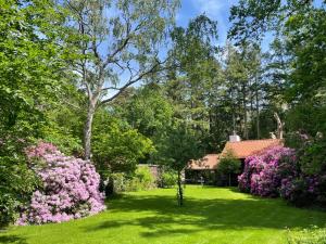 een tuin met roze bloemen en bomen en een huis bij Landgoed Dennenholt - 5 unique holiday homes in Vierhouten
