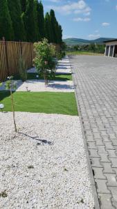 a garden with a stone walkway with plants and grass at Eduard House Room in Ungheni