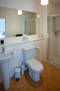 een badkamer met een toilet, een wastafel en een douche bij The Clock Tower in Selkirk