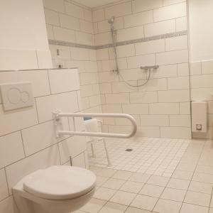 ein Bad mit einem WC und einer Dusche in der Unterkunft radlerunterkunft Grabau Nr.1 