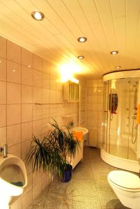 エシュヴァイラーにあるFerienwohnung Krings & Monteurwohnungenのバスルーム(洗面台、シャワー付)