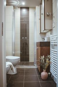 uma casa de banho com um WC e uma cabina de duche em vidro. em Country house Oberfeld em Vipava