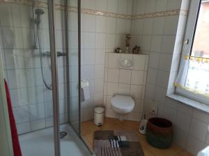 a bathroom with a shower and a toilet at Ferienhaus Liwi in Liessow