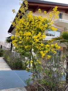 A garden outside Casa della Regina