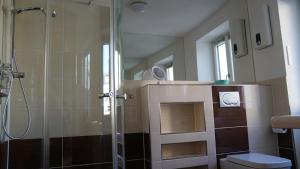a bathroom with a shower and a toilet at Ferienwohnung Meine Tante in Trittenheim