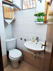 ein Bad mit einem WC und einem Waschbecken in der Unterkunft Archontiko Kastellia in Evangelístria