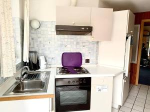 a small kitchen with a stove and a sink at Pavillon in Stinteck/Westerdeichstrich bei Büsum in Westerdeichstrich