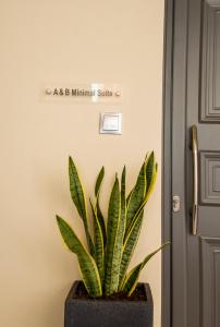 阿尔戈斯托利翁A & B Minimal Suite ΙΙ with Sea View in Argostoli的相册照片