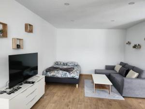 a living room with a couch and a tv at Joli Studio in Delle