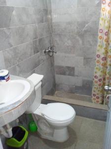 y baño con aseo, lavabo y ducha. en Appart-hotel Veras Samana No 13, en Santa Bárbara de Samaná