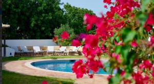 Piscina en o cerca de Beautiful Algarve Villa 6 Bedrooms Villa Albuferia da Silva Private Swimming Pool Lovely Outdoor Kitchen Albufeira