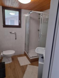 a bathroom with a shower and a toilet and a sink at Studio Eržen in Zgornje Gorje