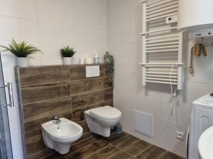 Koupelna v ubytování Apartmán Felix + 37 fotografií