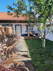 una piccola casa con un albero nel cortile di Sado House 3 a Comporta