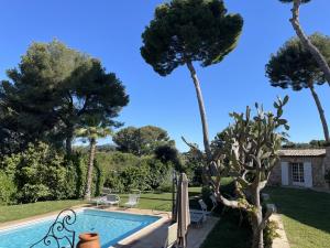 a swimming pool in a yard with palm trees at Magnifique Villa de prestige Antibes/Juan-les-Pins in Antibes