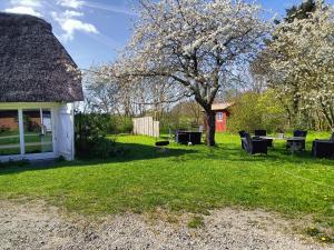 un patio con sillas, un árbol y una casa en Fæbrogaard Apartment, en Skærbæk