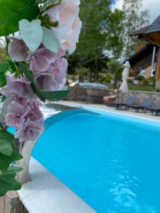 a blue swimming pool with pink flowers next to it at Apartmani Joka in Vrdnik