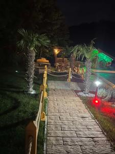 un chemin en pierre avec des palmiers dans un parc la nuit dans l'établissement Apartmani Joka, à Vrdnik