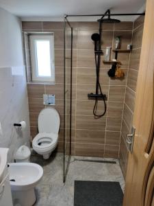 a bathroom with a toilet and a glass shower at Casa Tudor-Nicolae in Borşa