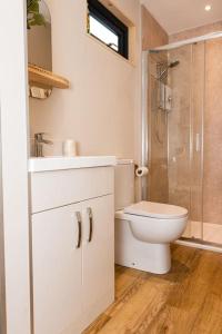uma casa de banho com um WC, um lavatório e um chuveiro em Gingerbread Lodge em Torquay