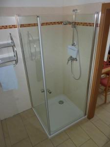 Ludorf的住宿－Müritzbrise 3，浴室里设有玻璃门淋浴