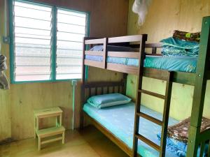 a bunk bed room with two bunk beds and a ladder at New Famer Hut 1 in Brinchang