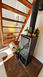 una sala de estar con una estufa con plantas en el suelo en Albatross en Dömös