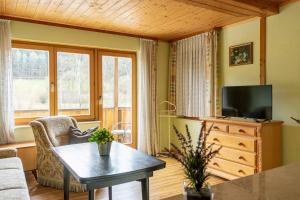 TV a/nebo společenská místnost v ubytování Landgasthof Peterhof