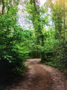 Gallery image of Cosy woodland Romantic retreat With log fires and nature in Sturry