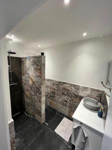a bathroom with a sink and a toilet and a shower at Ferienwohnung Waldseite in Bad Bentheim