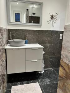 a bathroom with a sink and a spider on the wall at Ferienwohnung Waldseite in Bad Bentheim +12 photos