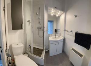a bathroom with a shower and a toilet and a sink at Appartement à 100m de la plage in Villers-sur-Mer