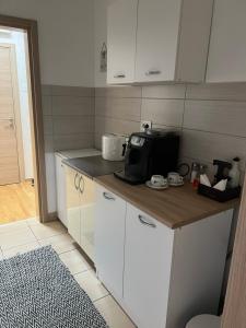 a kitchen with a counter top with a microwave at Apartman Didi-free parking in Novi Sad