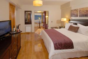a bedroom with a large bed and a flat screen tv at Alma Del Lago Suites & Spa in San Carlos de Bariloche