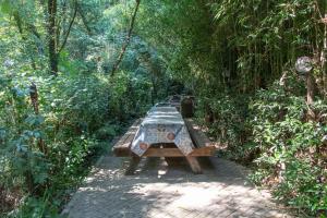 a picnic table in the middle of a forest at Mulino di Castelvecchio in Borgo a Buggiano